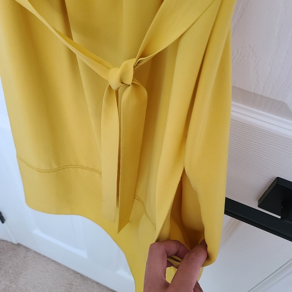 Wilfred 100% Silk Dress - Picture 4 of 5